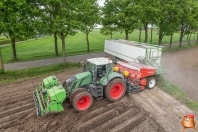 Planting potatoes