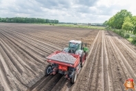 Planting potatoes