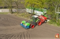 Planting potatoes