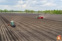 Planting potatoes