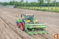 Planting potatoes