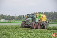 Gewasbescherming bij van den borne aardappelen