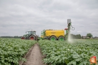 Gewasbescherming bij van den borne aardappelen