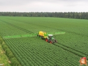 Gewasbescherming bij van den borne aardappelen