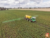 Gewasbescherming bij van den borne aardappelen