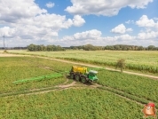 Gewasbescherming bij van den borne aardappelen