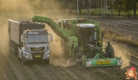 Aardappelenrooien bij van den Borne Aardappelen.