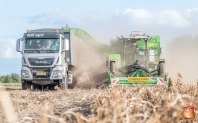 Kartoffelroden bei van den Borne Aardappelen.