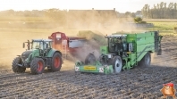 Harvesting potatoes