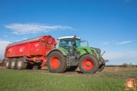 Harvesting potatoes