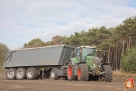 Harvesting potatoes