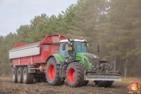 Harvesting potatoes