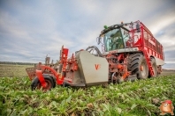 Bieten rooien bij van den Borne aardappelen