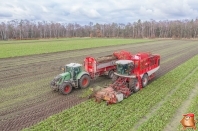 Bieten rooien bij van den Borne aardappelen