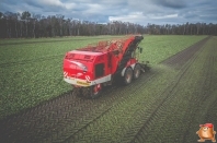 Bieten rooien bij van den Borne aardappelen