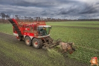 Bieten rooien bij van den Borne aardappelen