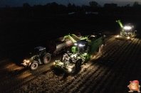 Harvesting potatoes