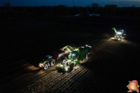 Harvesting potatoes