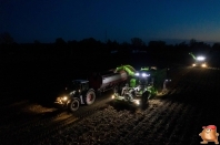 Harvesting potatoes