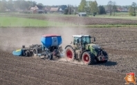 Cultivation description potatoes