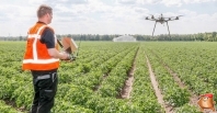 Geschiedenis Van de Borne Aardappelen 2015 - 2019