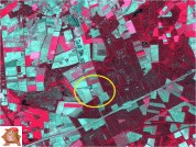 Die Geschichte von van den Borne Kartoffeln 2010 - 2014