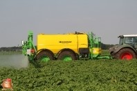 Geschiedenis Van de Borne Aardappelen 2010 - 2014