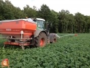 Geschiedenis Van de Borne Aardappelen 2010 - 2014