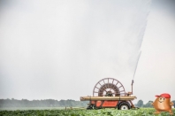 Geschiedenis precisielandbouw bij van den borne Aardappelen