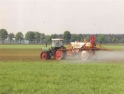 Geschiedenis Van de Borne Aardappelen 1990 to 1999