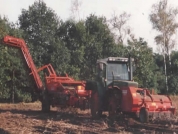 Geschiedenis Van de Borne Aardappelen 1990 to 1999