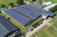 zonnepanelen van den borne aardappelen