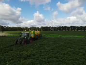 Gewasbescherming bij van den borne aardappelen