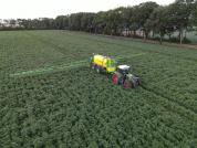 Gewasbescherming bij van den borne aardappelen