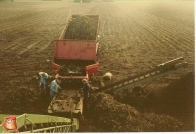 Kartoffeleinlagerung bei van den Borne aardappelen