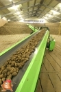 Aardappelbewaring inschuren bij van den Borne aardappelen
