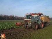 Bieten rooien bij van den Borne aardappelen