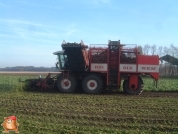 Bieten rooien bij van den Borne aardappelen