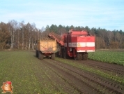 Rübenroden bei van den Borne aardappelen