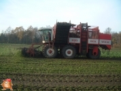 Bieten rooien bij van den Borne aardappelen