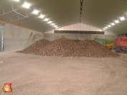 Sugar beets harvest at van den Borne aardappelen