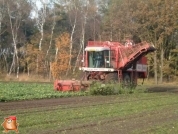 Bieten rooien bij van den Borne aardappelen