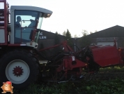 Sugar beets harvest at van den Borne aardappelen