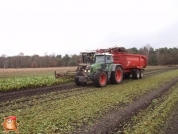 Bieten rooien bij van den Borne aardappelen