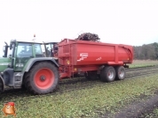 Bieten rooien bij van den Borne aardappelen