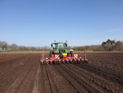 Bieten zaaien bij van den borne aardappelen