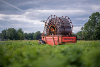 Beregenen bij van den Borne aardappelen