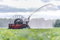 Beregenen bij van den Borne aardappelen