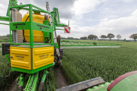 Gewasbescherming bij van den borne aardappelen