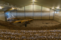 Aardappelbewaring inschuren bij van den Borne aardappelen